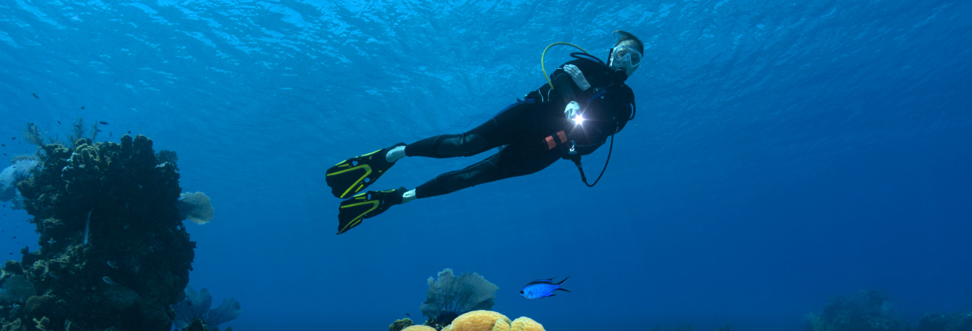 scuba diver in oean by coral and fishes