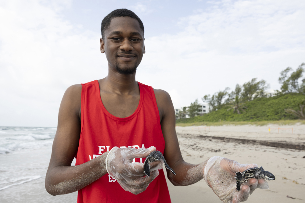 Undergraduate Researcher David Morgan Explores How Trace Elements Affect Leatherback Sea Turtle Eggs