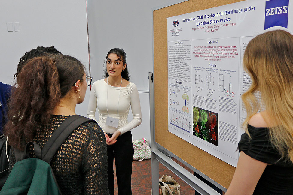 Individual presents to two others in front of a scientific research poster in an indoor event setting.