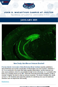 Read Newsletter January 2025