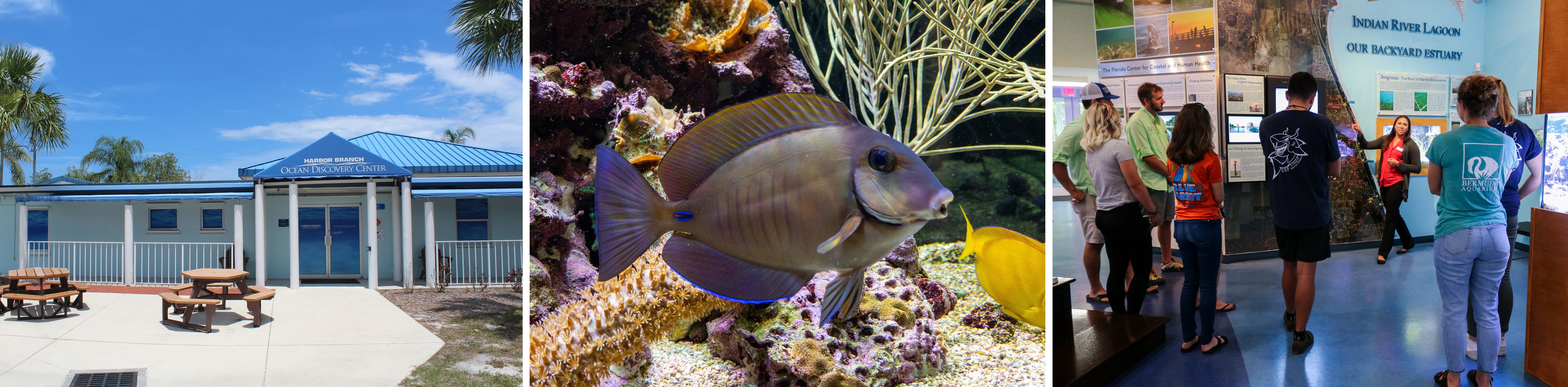 Ocean Discovery Visitors Center