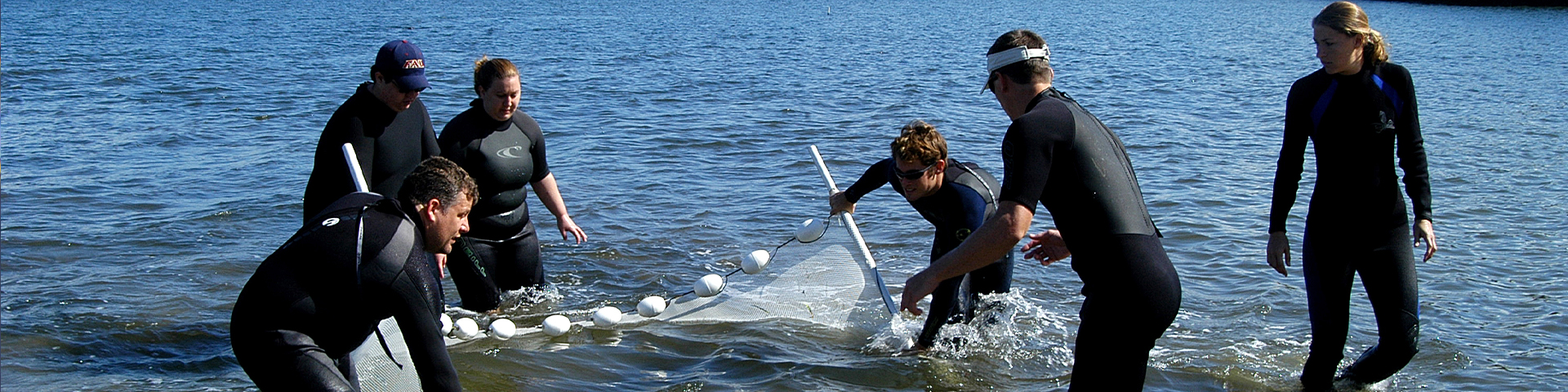 education and outreach