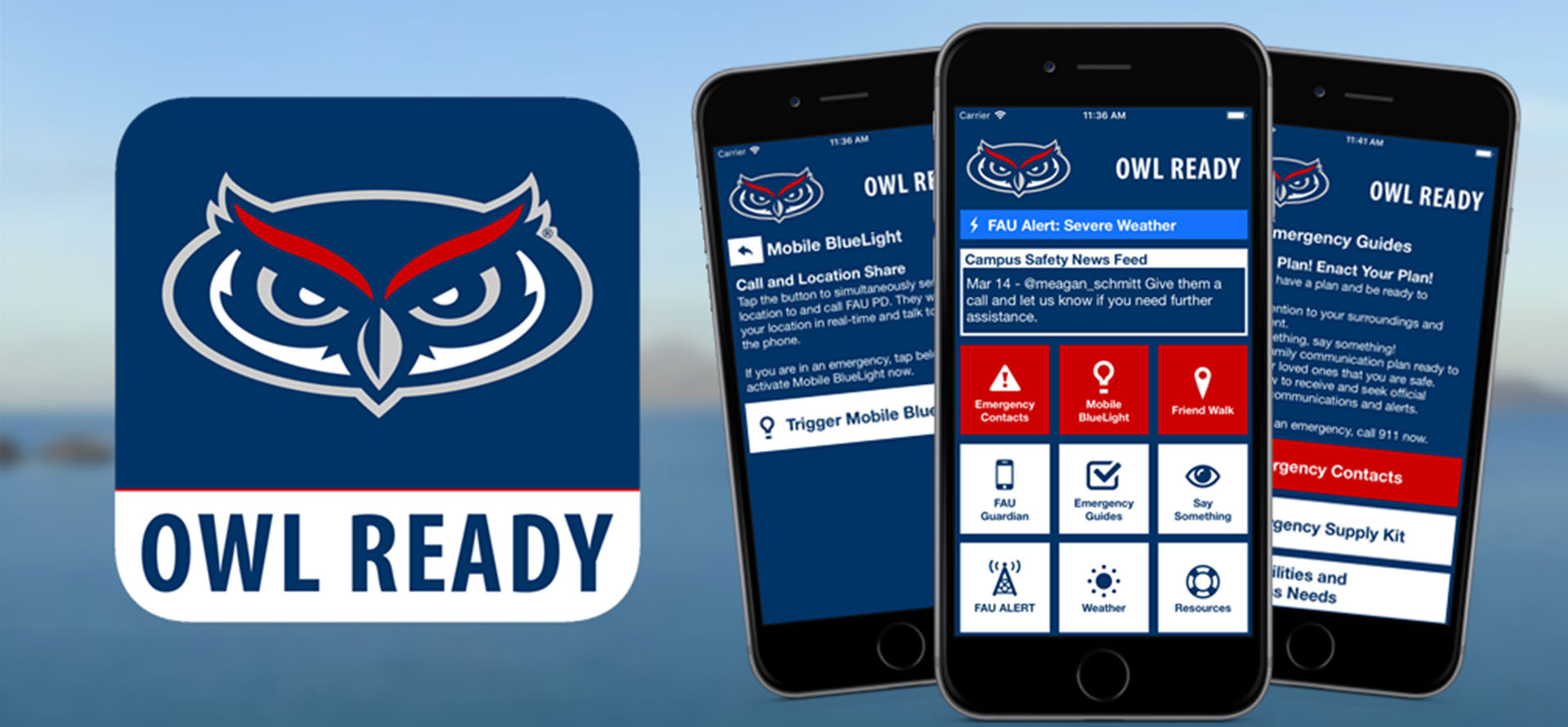 Department of Emergency Banner