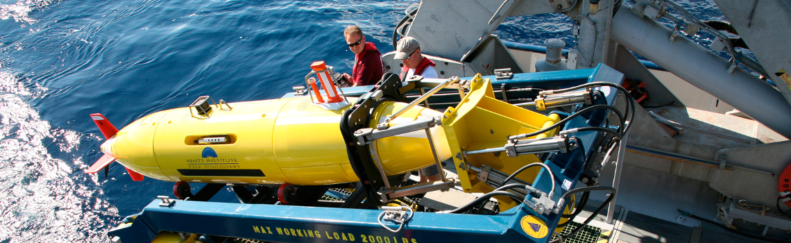 Community Engagement and Knowledge