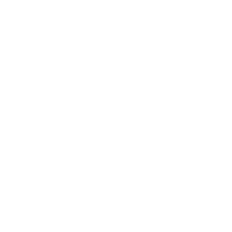 Harriet L. Wilkes Honors College Icon Graphic